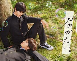 seo过度优化怎么解决